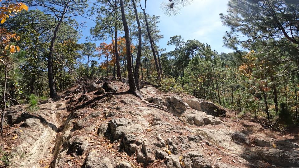 Mountain Biking Tour Mexico City